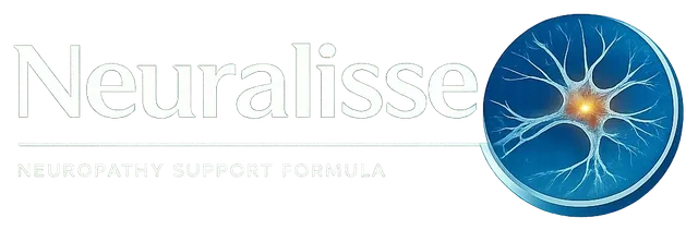 Neuralisse wordmark